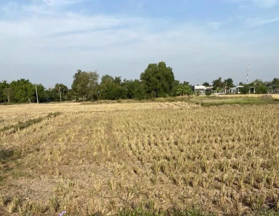 Bán lô đất 743m2 xã Tân Quý Tây, Bình Chánh, giá 5,5 tỷ - Ảnh 1