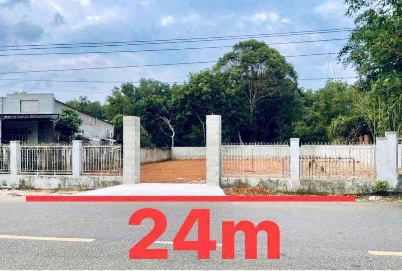 Bán đất mặt tiền Hương Lộ 2 Long Phước 590m² Bà Rịa - Ảnh 1