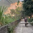 Bán đất (3 mặt tiền: 160m, DT: 3326m2, 400m2 thổ cư) Phú Thọ - (Cũ: Huyện Lương Sơn, Hoà Bình) - Ảnh thu nhỏ 4