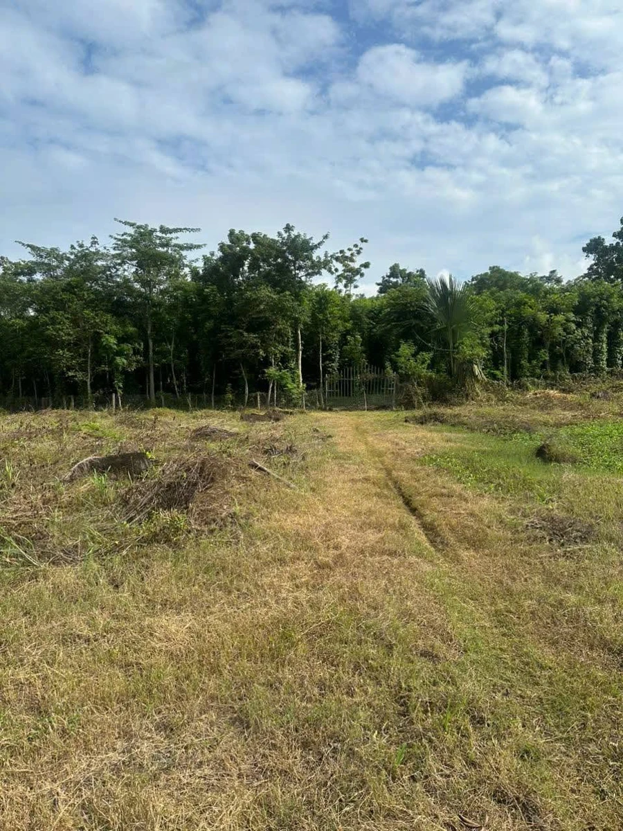 Bán đất 22.225m2 Ấp 1, Thanh Sơn, Định Quán, Đồng Nai giá 1,8 tỷ - Ảnh thu nhỏ 5