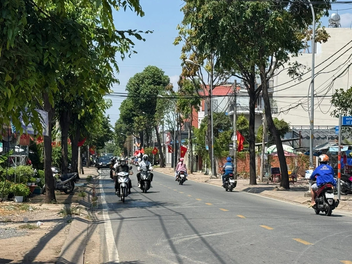 Bán đất mặt đường Linh Đông Thủ Đức 495m2 - Ảnh thu nhỏ 2