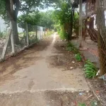 Bán lô đất vườn An Điền 1.465m² giá 2 tỷ 850 - Ảnh thu nhỏ 2