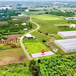 Bán đất 196m² Xã Nghĩa Thành, BR-VT, 470 triệu - Ảnh thu nhỏ 4
