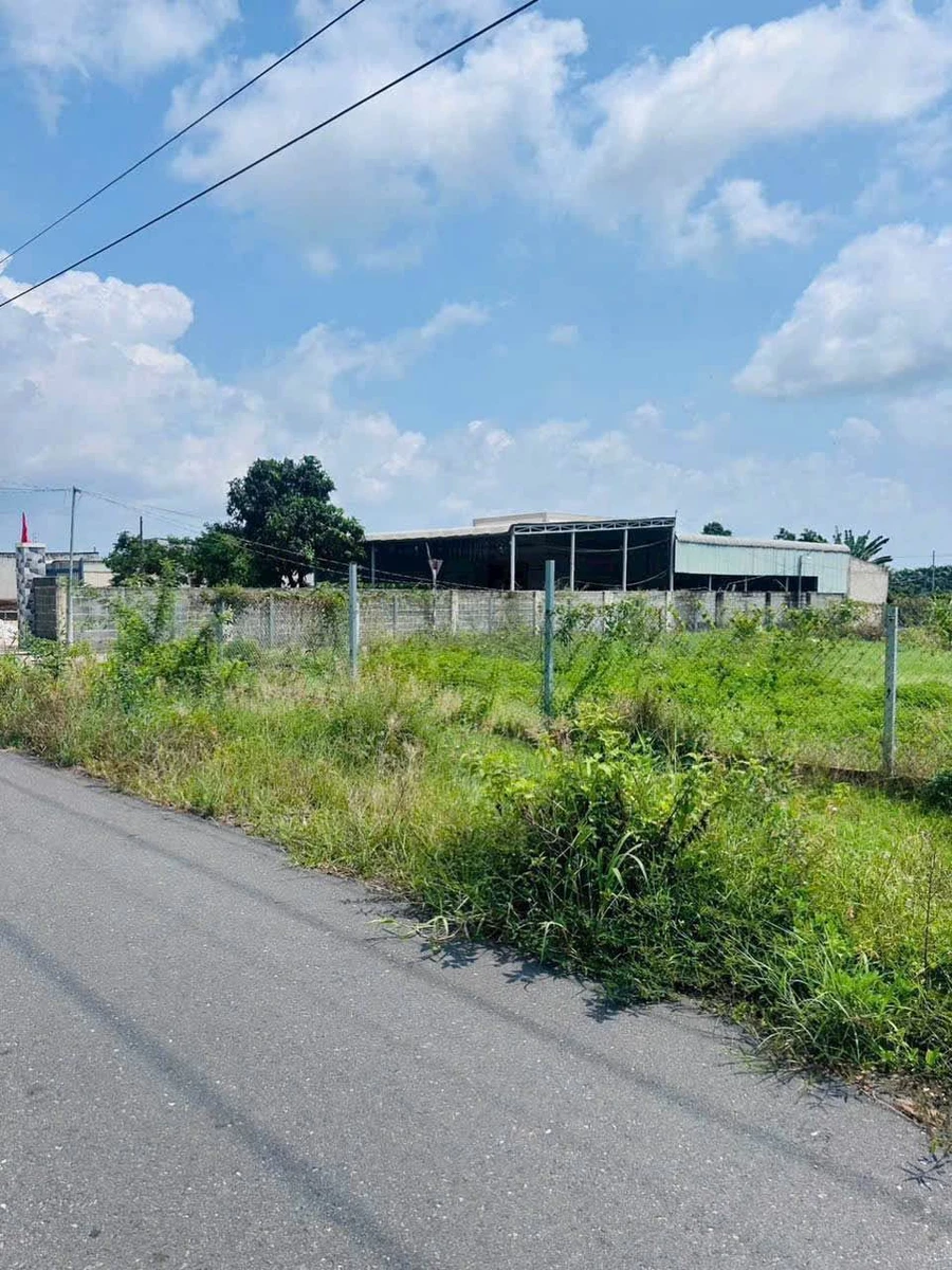 Bán lô góc 500m² KDC Long Mỹ Phước Hải 3.5 tỷ - Ảnh thu nhỏ 4