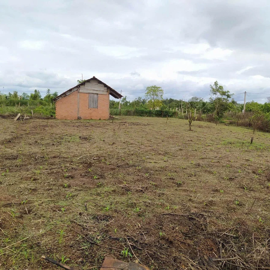 Bán lô đất 1.155m² gần đường tránh Đông, Buôn Ma Thuột - Ảnh thu nhỏ 4