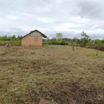Bán lô đất 1.155m² gần đường tránh Đông, Buôn Ma Thuột - Ảnh thu nhỏ 4