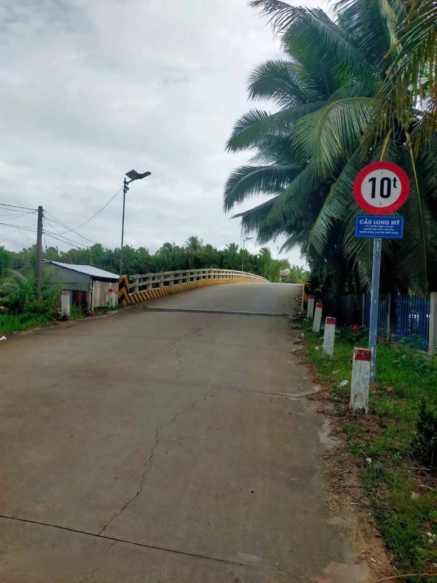 Bán 4.700m² đất vườn dừa tại Vĩnh Long - Ảnh thu nhỏ 2