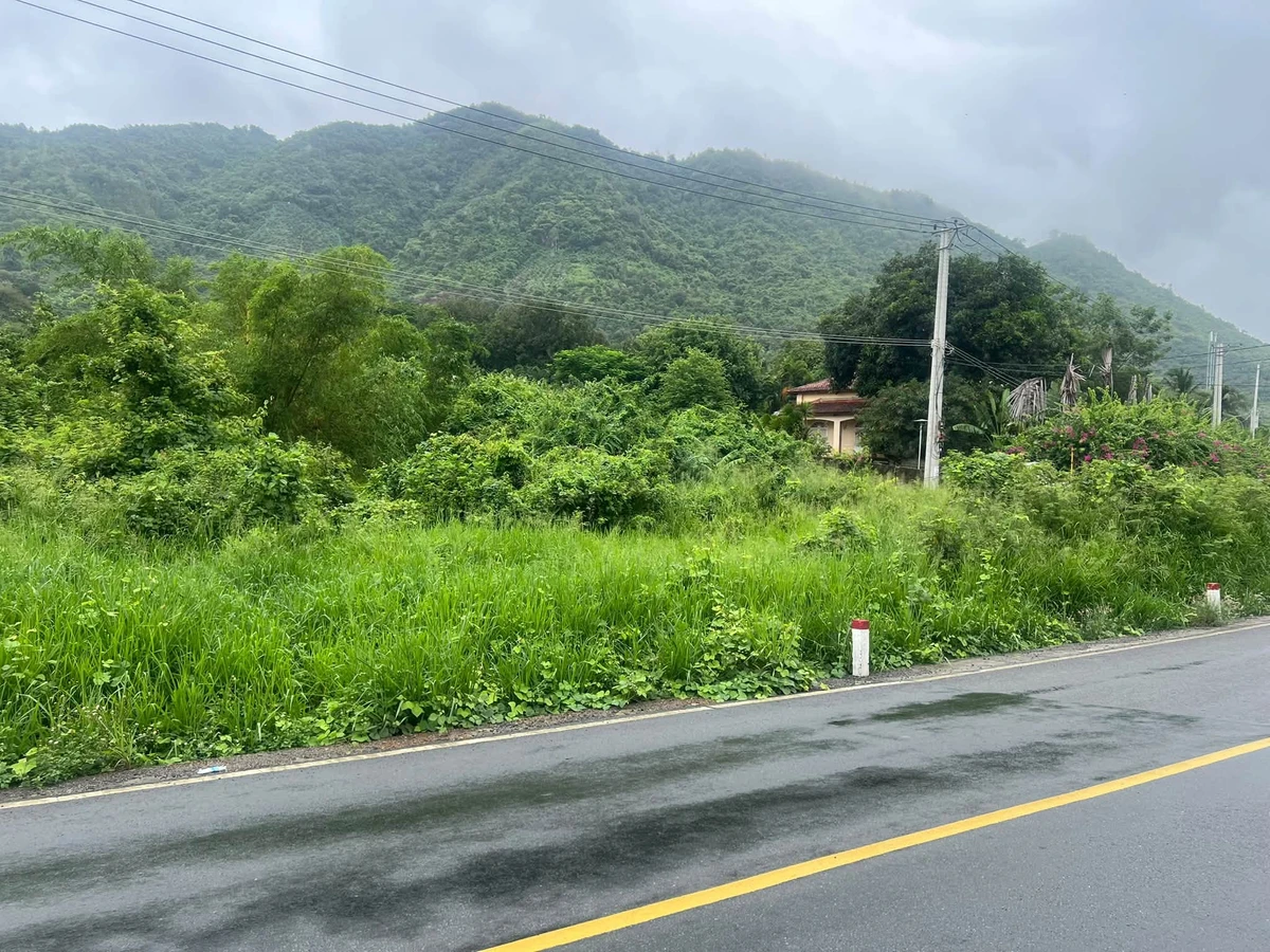 Bán đất mặt tiền Tỉnh Lộ 3 5000m² Cam Lâm Khánh Hòa 9,5 tỷ - Ảnh thu nhỏ 4