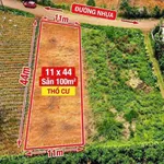 Bán đất mặt tiền Âu Cơ Bảo Lộc 100m2, 1 tỷ 8 - Ảnh thu nhỏ 1