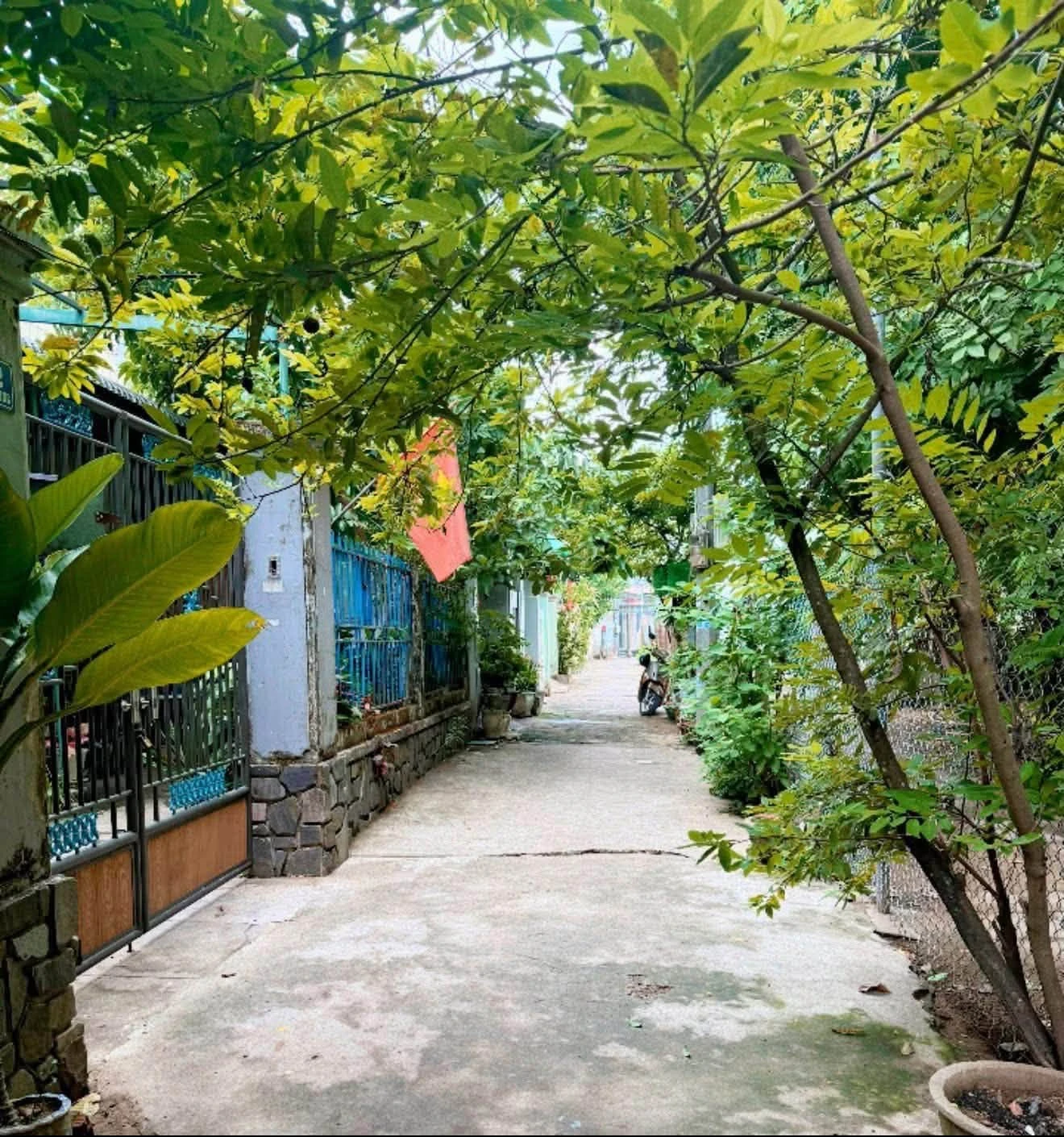Bán lô đất 97m2 hẻm Quang Trung, Quảng Ngãi - Ảnh 1