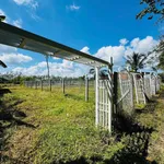 Bán đất Tây Ninh 145m² Phường Bình Minh 199 triệu - Ảnh thu nhỏ 1
