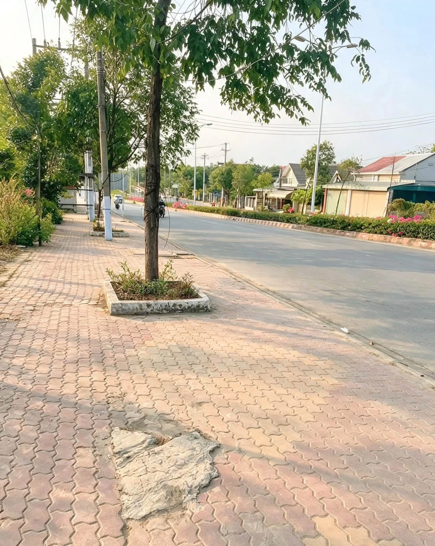 Bán đất 110m2 Tân An Thủ Dầu Một 3 tỷ 5 - Ảnh 1
