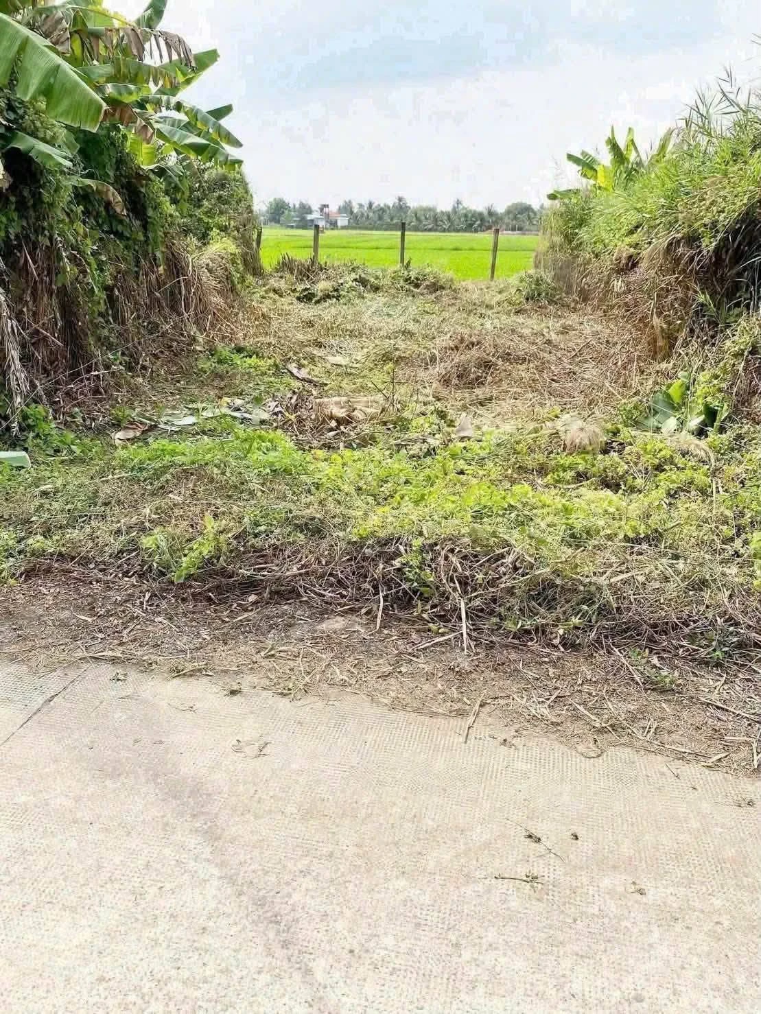 Bán đất mặt tiền đường Kênh 5 Tâm, Phường Tân An, Tây Ninh, 106 m2, giá 500 triệu - Ảnh 1