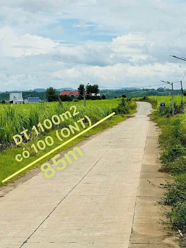 Bán đất trung tâm xã Đức Bình Tây 100m² giá 4 tỷ