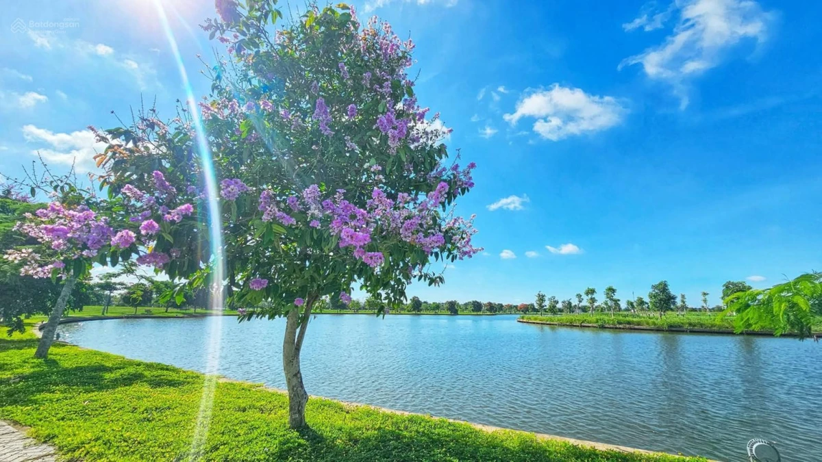 1 Tỷ 100tr, 5x20m, Sổ hồng, Đất Nền Giá Tốt Happy Home Cà Mau, e Phúc nhận ký gửi nhà đất - Ảnh thu nhỏ 3