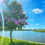 1 Tỷ 100tr, 5x20m, Sổ hồng, Đất Nền Giá Tốt Happy Home Cà Mau, e Phúc nhận ký gửi nhà đất - Ảnh thu nhỏ 3