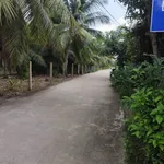 Bán nền đất thổ cư 162m² giá 550 triệu Bình Chánh - Ảnh thu nhỏ 2