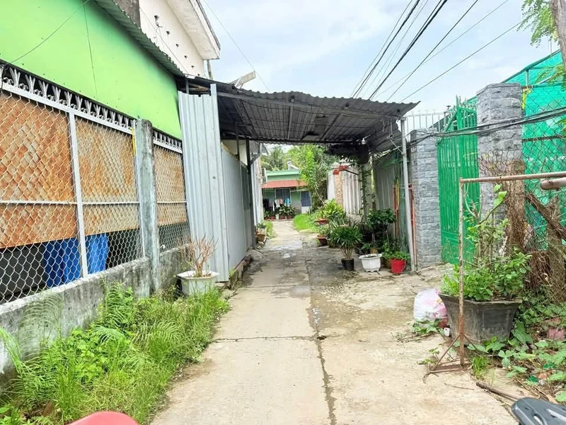 Bán 7 căn phòng trọ 203,8m² Phường 8 Bến Tre, 1,49 tỷ
