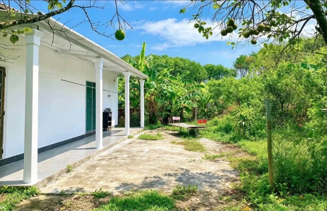 Bán đất 1.000m² có nhà nhỏ tại Phong Điền, Huế - Ảnh 1