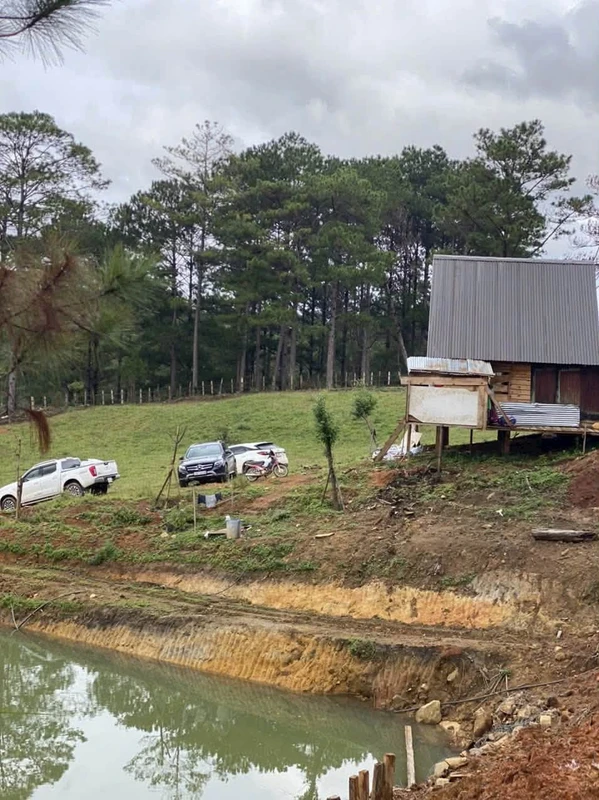 Bán đất 2.8 ha Mai Anh Đào view rừng Đa Nhim Lạc Dương