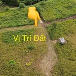 Bán đất 1.000m² mặt tiền Gia Kiệm, Đồng Nai 200 triệu - Ảnh thu nhỏ 4