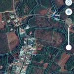 Bán đất 1000m2 Phú Riềng 400 triệu - Ảnh thu nhỏ 1
