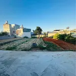 Bán đất thổ cư 114m² mặt tiền bê tông Tiến Lợi 999 triệu - Ảnh thu nhỏ 5