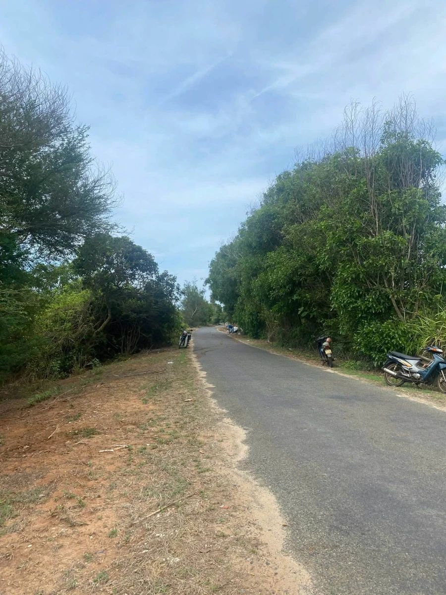 Bán đất nông nghiệp mặt tiền Tôn Đức Thắng Phú Quý 1521m² - Ảnh thu nhỏ 2