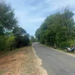 Bán đất nông nghiệp mặt tiền Tôn Đức Thắng Phú Quý 1521m² - Ảnh thu nhỏ 2