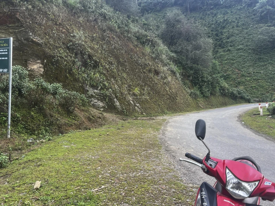 Bán 8000m2 đất có 100m mặt đường TL112 - Tà Xùa, giá tốt chỉ với 2,9 tỷ, View thung lũng Mây - Ảnh thu nhỏ 3