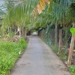 Bán đất nền F0 Long Hòa A 280m² Đồng Tháp - Ảnh thu nhỏ 1