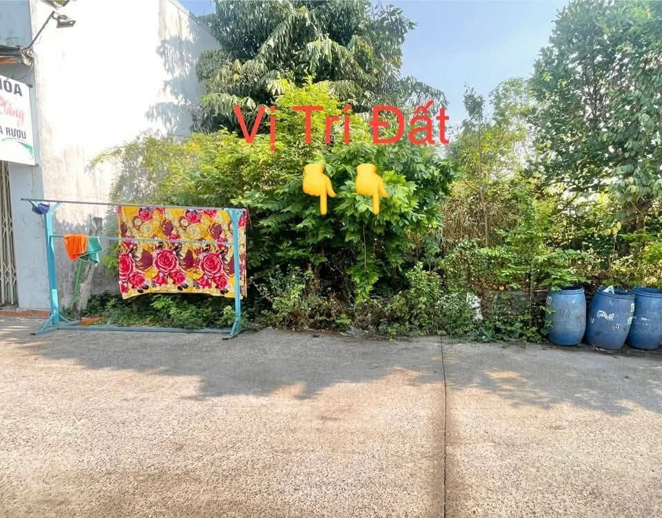 Bán đất Sông Trầu Trảng Bom 715,8 m² sổ riêng 3,8 tỷ - Ảnh thu nhỏ 5
