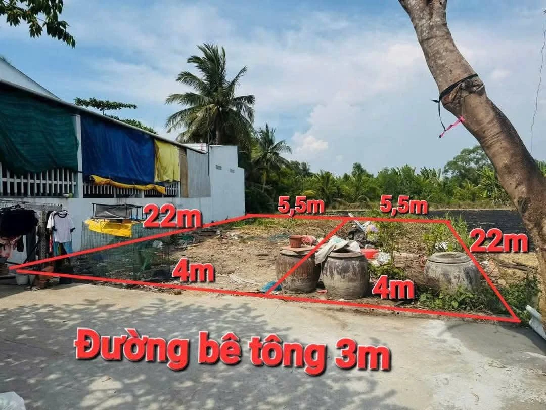 Bán đất thổ cư 101m² sát QL50 TP Giuộc - Ảnh thu nhỏ 3