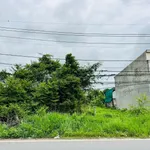 Bán đất nền 250m2 Tân An Hội Củ Chi mặt tiền Nguyễn Văn Khạ - Ảnh thu nhỏ 4