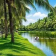 Tổng giỏ hàng bán gấp T10/2026 giá siêu tốt - nhà phố biệt thự - vị trí đẹp - Vinhomes Grand Park - Ảnh thu nhỏ 31