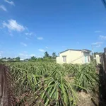Bán quỹ đất 2.000m² full thổ cư mặt tiền Tây Ninh - Ảnh thu nhỏ 3