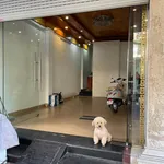 Cho thuê mặt bằng kinh doanh 42m² tại Hải Phòng - Ảnh thu nhỏ 4