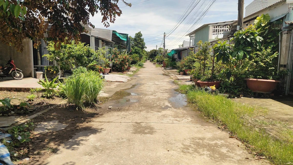 Bán đất 160m2 + nhà cũ tại Xã Bình An, An Giang - Ảnh thu nhỏ 4