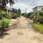 Bán đất 160m2 + nhà cũ tại Xã Bình An, An Giang - Ảnh thu nhỏ 4