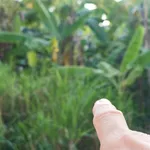 Bán đất 220 m² mặt tiền Gia Lộc Hải Dương giá 2 tỷ - Ảnh thu nhỏ 2