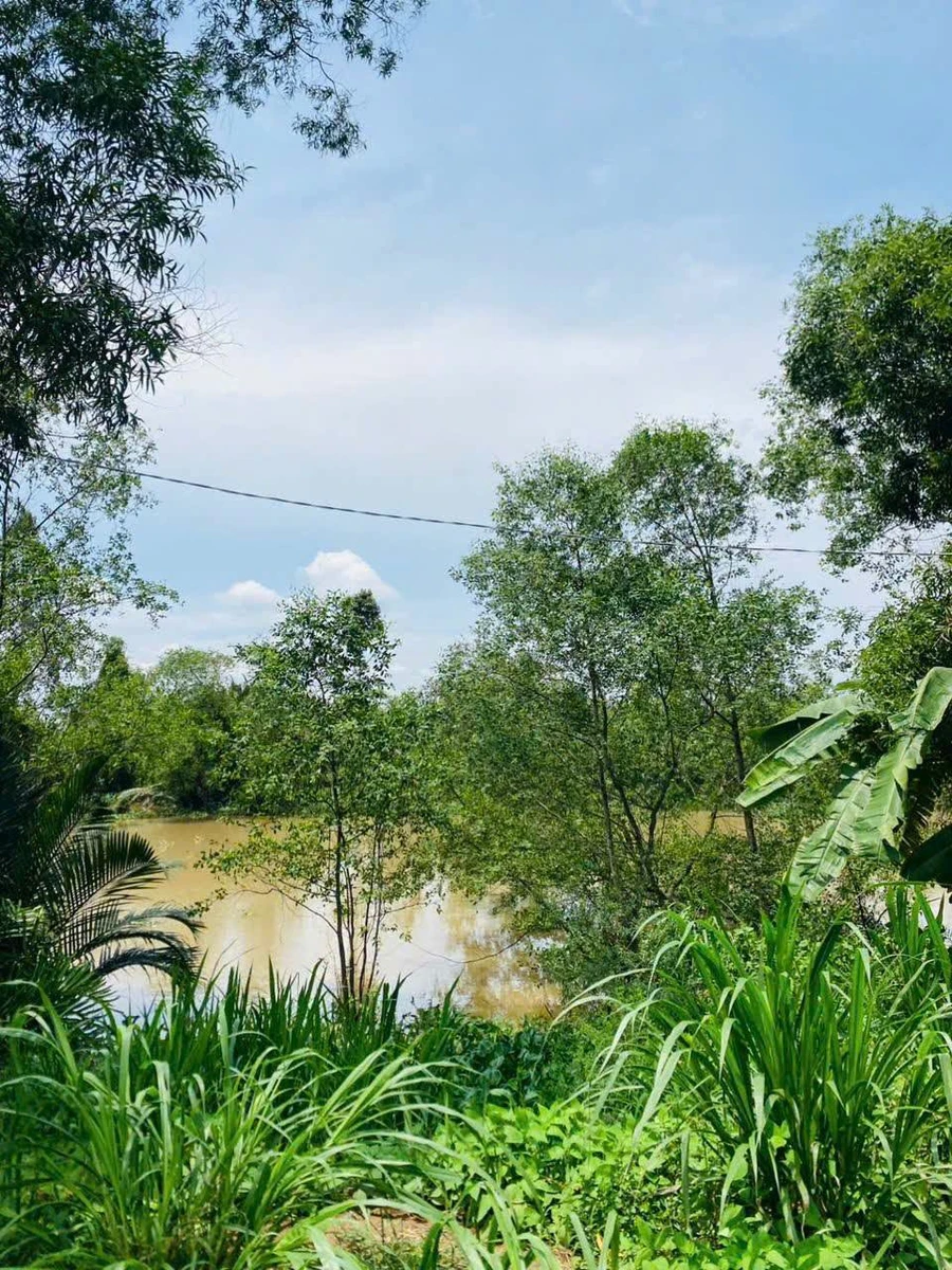 Bán đất vườn 1.500m² view sông Ba Lai Phú Túc 1,2 tỷ - Ảnh 1