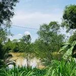 Bán đất vườn 1.500m² view sông Ba Lai Phú Túc 1,2 tỷ - Ảnh thu nhỏ 1