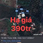 Bán đất 1 sào (1180m²) Phú Vinh Đồng Nai 390 triệu - Ảnh thu nhỏ 2