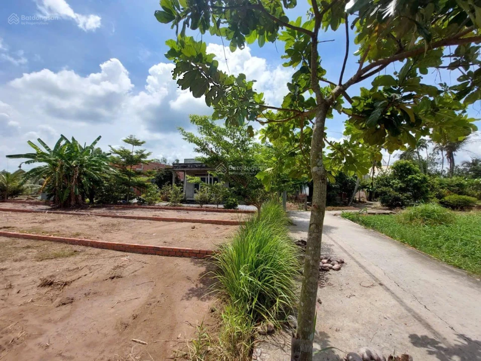 Bán lô đất thổ cư vị trí đẹp tại ấp 6 xã Tân Trạch, huyện Cần Đước tỉnh Long An - Ảnh thu nhỏ 2