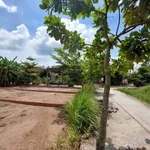 Bán lô đất thổ cư vị trí đẹp tại ấp 6 xã Tân Trạch, huyện Cần Đước tỉnh Long An - Ảnh thu nhỏ 2