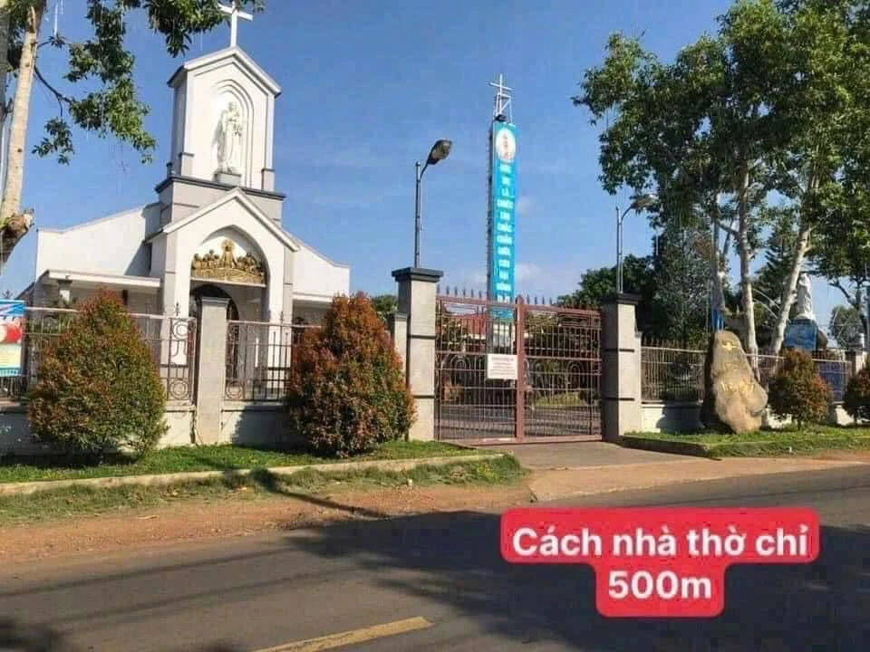 Bán nhà vườn 11.000m² Hưng Thịnh Đồng Nai, 7,5 tỷ - Ảnh thu nhỏ 4