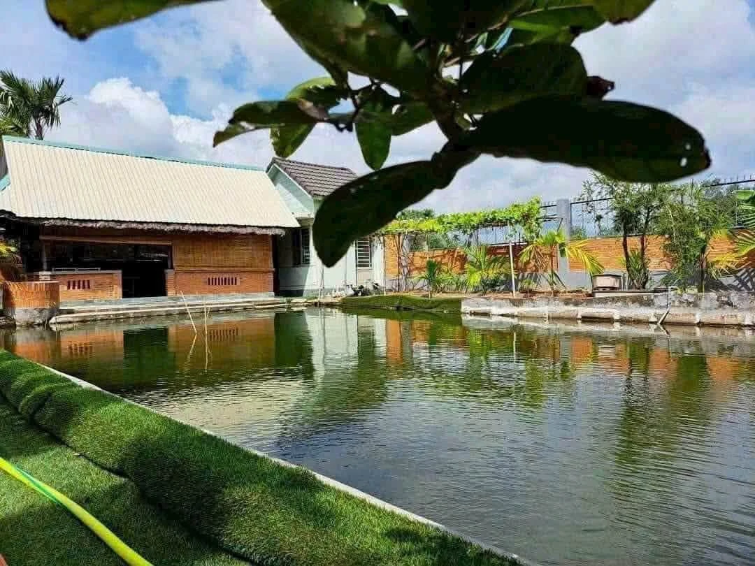 Bán vườn nghỉ dưỡng 903m2 có ao hồ, cây ăn trái tại Phường Tân An, Thủ Dầu Một, Bình Dương - Ảnh thu nhỏ 3