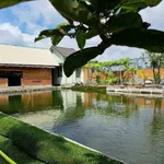 Bán vườn nghỉ dưỡng 903m2 có ao hồ, cây ăn trái tại Phường Tân An, Thủ Dầu Một, Bình Dương - Ảnh thu nhỏ 3