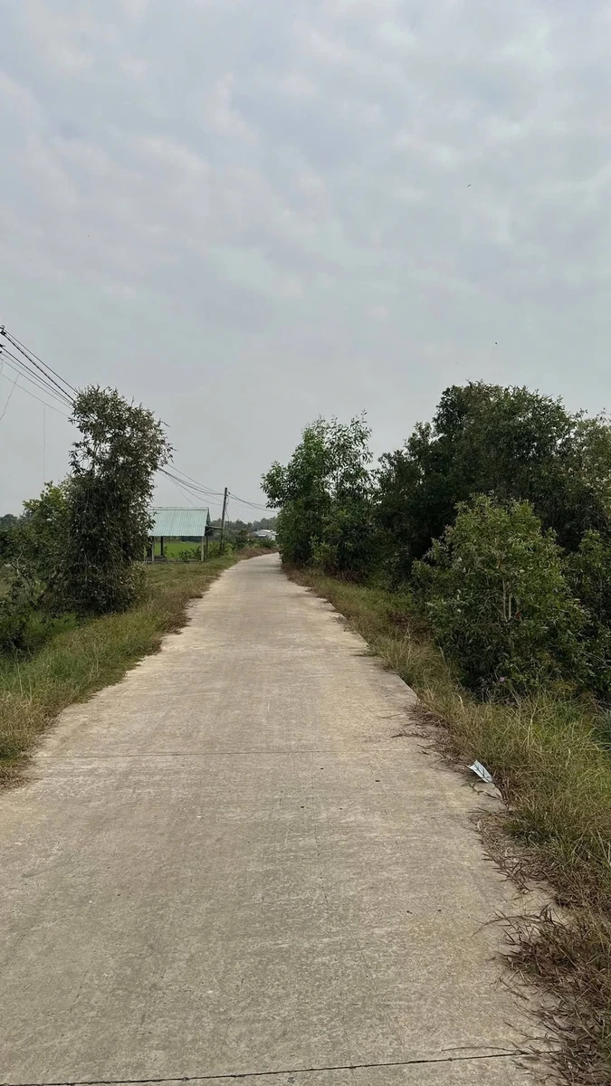 Bán đất 8.500m² view kênh ở Tây Ninh, giá 1 tỷ 100 triệu - Ảnh thu nhỏ 5