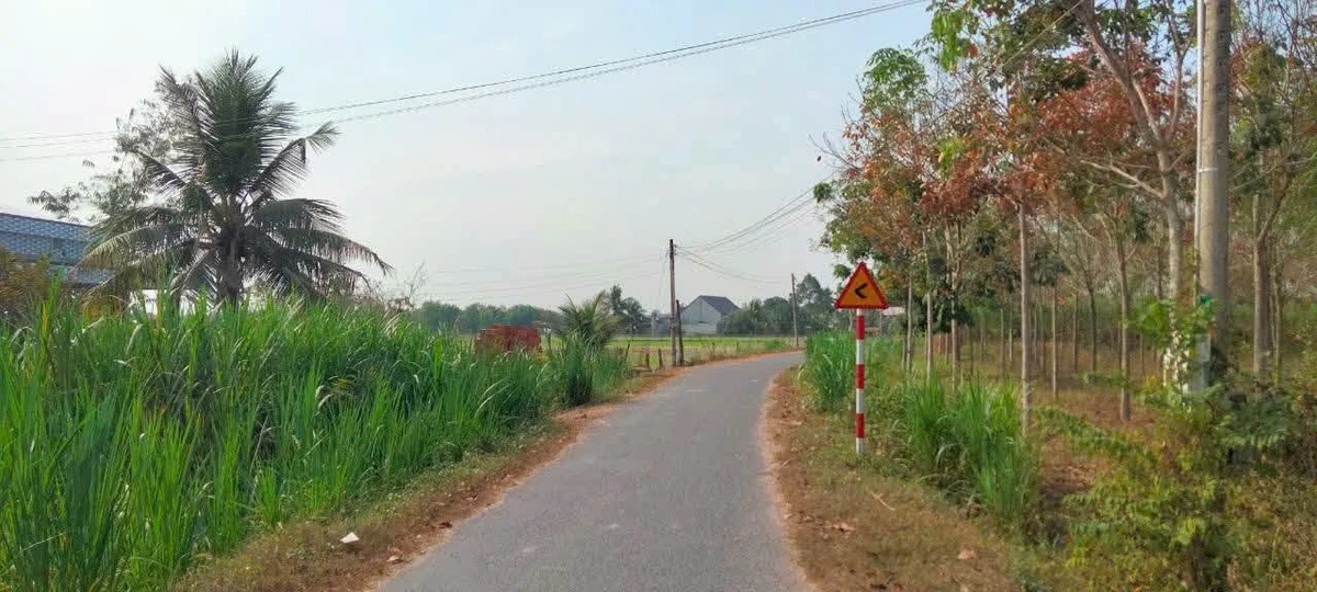Bán đất 590m² đường nhựa Xã Phước Thạnh, Tây Ninh 1,05 tỷ - Ảnh 1